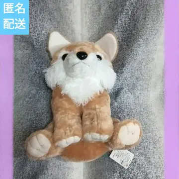 푹신푹신 늑대 친구 왔어요 BIG 봉제 인형 미미 코요테