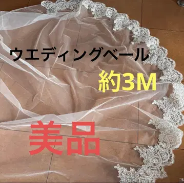 웨딩 베일과 화이트 그로브 세트