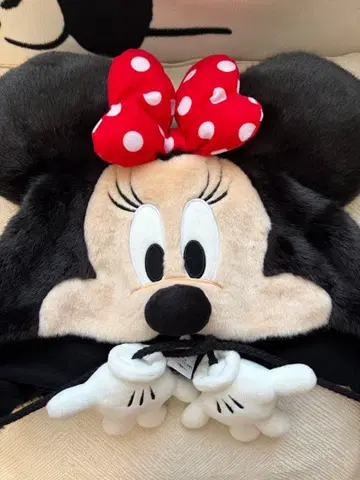 디즈니 미니 팬캡