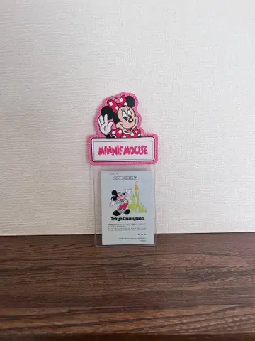 도쿄 디즈니랜드 미니 카드 홀더