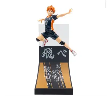 하이큐 히나타 쇼요 피규어