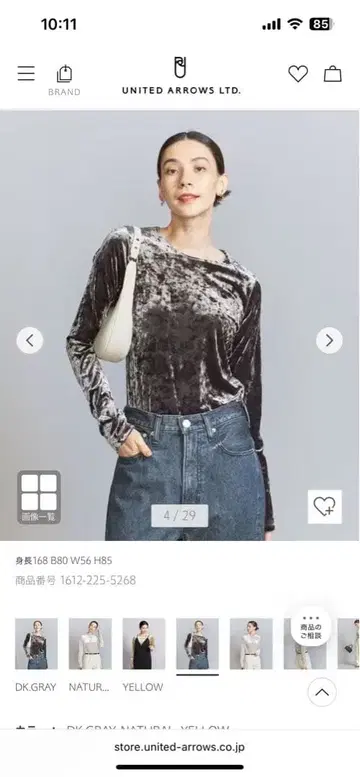 유나이티드 애로우즈 벨로아