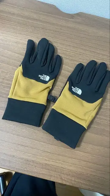 THE NORTH FACE 아웃도어 장갑 블랙/노랑