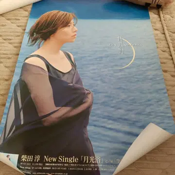 시바타 준 월광욕 포스터