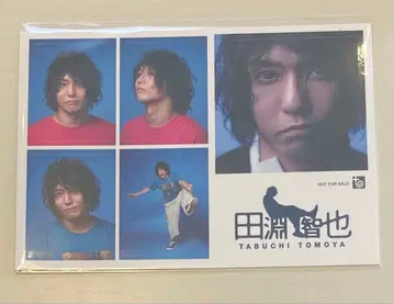 타부치 토모야 증명사진풍 스티커 UNISON SQUARE GARDEN