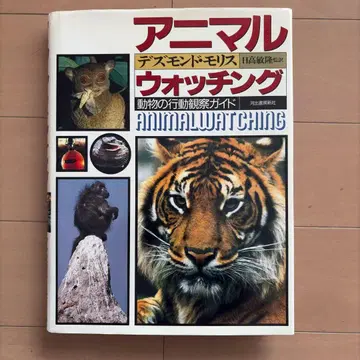 애니멀 워칭 데즈먼드 모리스
