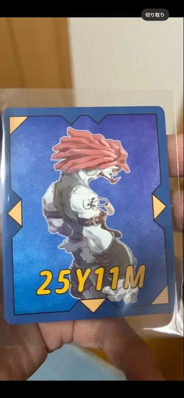 FF9전 살라만다 쿼드미스트풍 카드