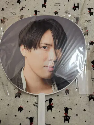 미야타테 료타 점보 부채 i DO ME