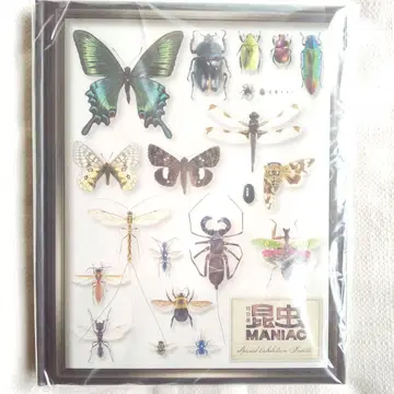 특별전 곤충 MANIAC 도록