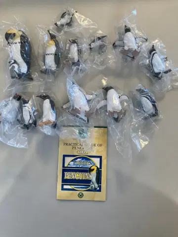 카롤라타 입체도감 펭귄 피규어 세트