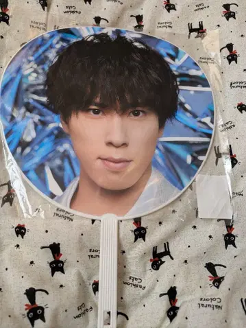 미야타테 료타 점보 부채 2D.2D