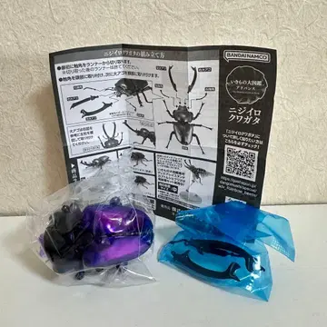 생물대도감 어드밴스 니지이로사슴벌레 (보라색 네이비)