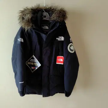 the north face antarctica parka