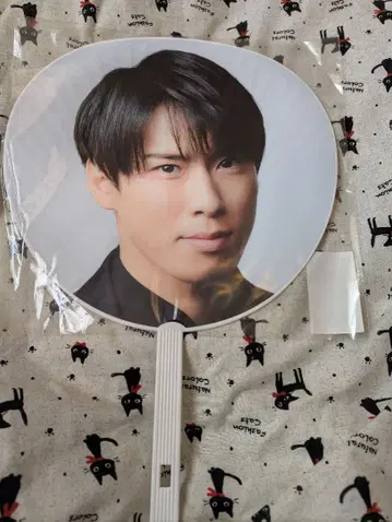 미야타테 료타 점보 부채 Mania