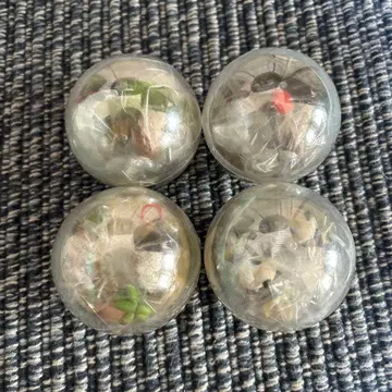 어드벤처 월드 가챠가챠