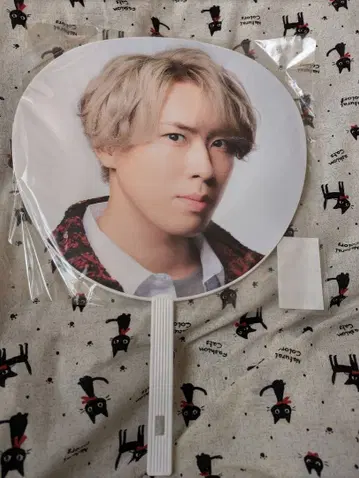 미야타테 료타 점보 부채 Labo.