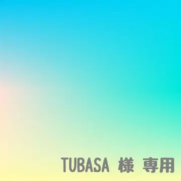 THE NORTH FACE 그레이 후드 부착 후드티 M