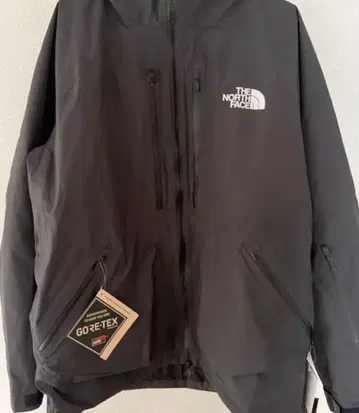THE NORTH FACE 고어텍스 마운틴 후드티