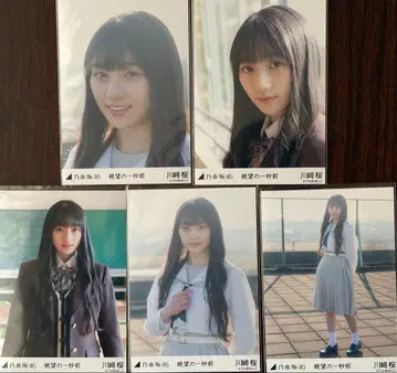 노기자카46 카와사키 벚꽃 절망의 1초 전 브로마이드 5종 컴프