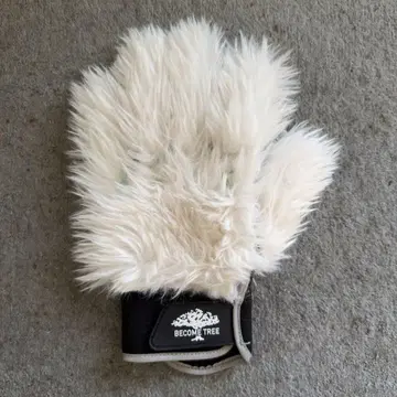 BECOME TREE 피닉스 그로브 화이트