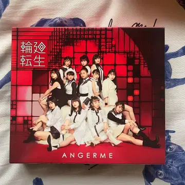 안쥬르므 윤회전생