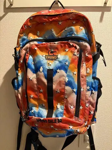 CHUMS 스프링 데일 30 멀티 컬러 백팩