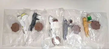 고양이의 순수 찻집