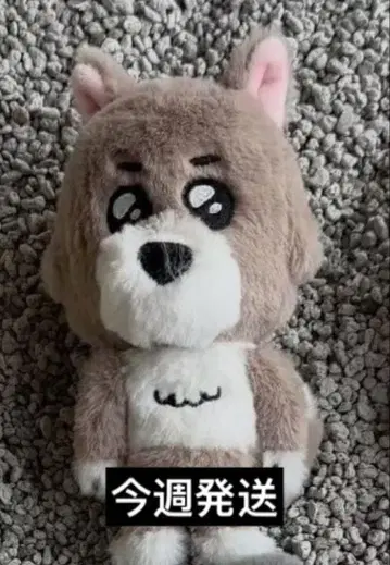 BOYNEXTDOOR 팝업 재현 키링 봉제 인형