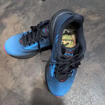 미즈노 러닝화 웨이브 라이더 25cm