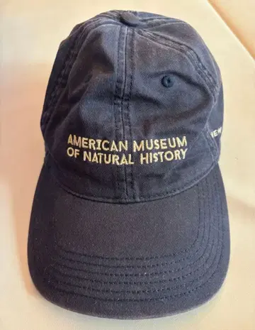 new york city 캡 구제 의류