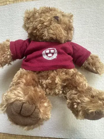하버드 대학 테디 베어