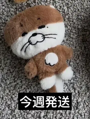 BOYNEXTDOOR 보넥도 팝업 BBNEXDO 리우