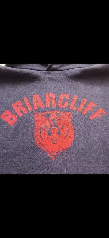 80s 러셀 Briarcliff 후드티 네이비 애니멀