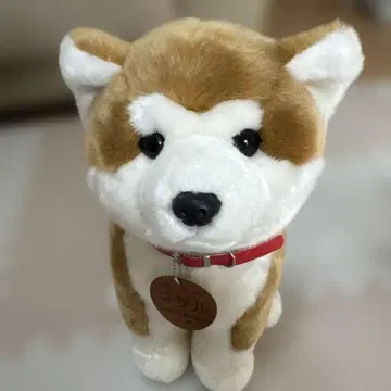 아키타견 마사루 봉제 인형 L 사이즈 CUTE 2