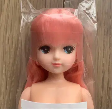 리카짱 캐슬 오타노시미 인형 키라짱