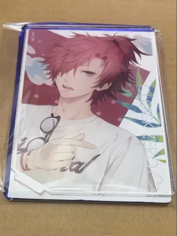 CLOCK ZERO 아크릴 스탠드 여름의 시장 토라노스케