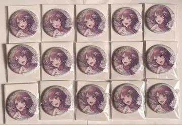 프로세카 그리캔 vol.8B 시라이시 안즈 15개