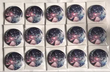 프로세카 그리캔 vol.8B 호시노 이치카 15개