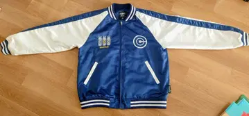 드래곤볼 스카잔