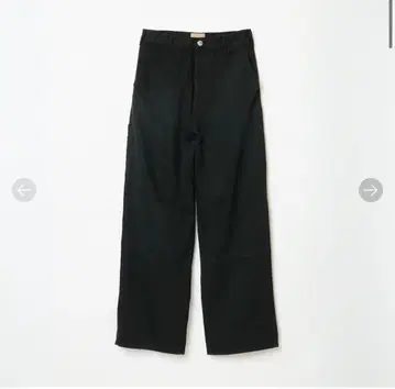 SHISHIKUI painter pants 30