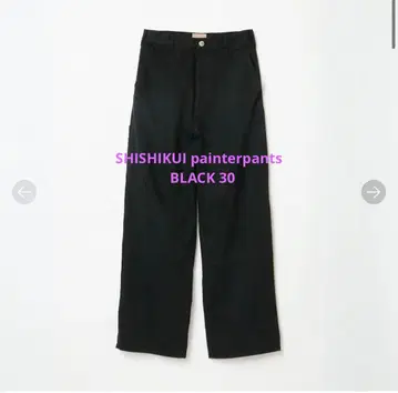 SHISHIKUI painter pants 30