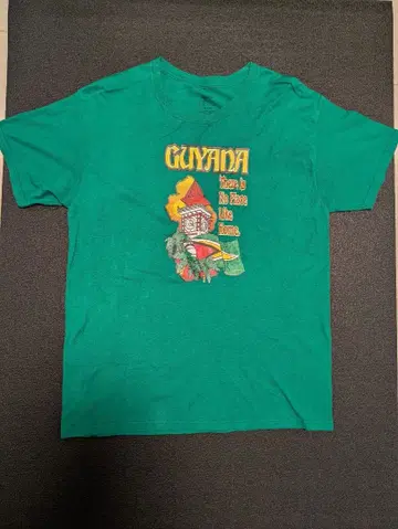 가이아나 관광 T 그린 M 사이즈 후르츠 LOOM