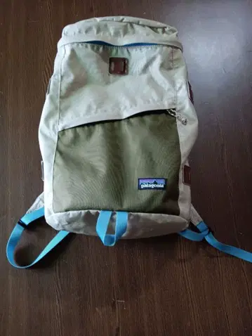 patagonia 백팩 베이지/올리브