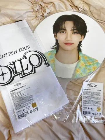 SEVENTEEN 정한 부채 백 세트