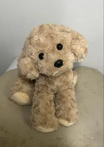 봉제 인형 개 토이 푸들 봉제 인형