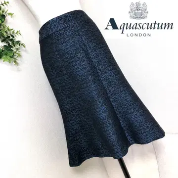 아쿠아 스큐텀의 고급스러운 아름다운 스커트