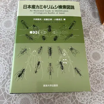 일본산 하늘소 검색도설