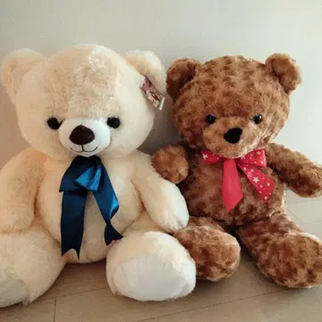 마이큐트베어 슈퍼점보 러블리로즈베어 2개