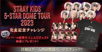 Stray Kids 승민 친필 사인 부채 5-STAR 돔 투어