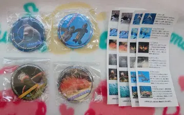 나고야항 수족관 가챠 캔뱃지